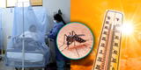 Ola de calor agravaría el estado de salud de pacientes con dengue, según EsSalud