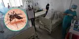 Dengue en el Callao: Diresa alerta sobre aparición del mosquito transmisor en los distritos chalacos