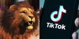 Descubre cuánto vale un león en la plataforma de TikTok