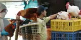 Gripe aviar en La Libertad: declaran en cuarentena zona de Pacanguilla y sacrifican a 23 mil aves