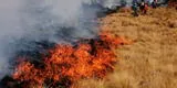 Incendio forestal en Lambayeque: se registran más de 500 hectáreas de vegetación afectadas