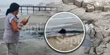¡Alerta en la playa de Chancay! Extraño fenómeno aterra a bañistas: "Las aguas hierven"