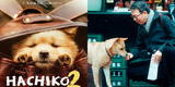 ‘Hachiko 2’: cuándo estrena, tráiler, reparto y más de la historia del perro ‘más fiel del mundo’