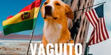 ‘Vaguito: Te esperaré en la orilla' llega a cines de EE.UU. y Bolivia desatando fervor y emoción ¿cuándo es el estreno?