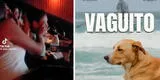 Niño se hace viral al ROMPER EN LLANTO en sala de cine tras ver "Vaguito": "Ya me vi llorando"