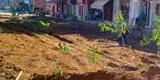 Junín: vecinos cansados de obras inconclusas siembran plátanos y yucas en plena vía pública