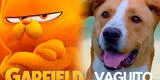 "Vaguito" CHANCA estreno de "Garfield: fuera de casa" y se convierte en la película más vista a nivel nacional