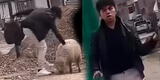 Huancayo: Joven mata a patadas a una indefensa oveja porque tuvo un "mal día", dueña exige justicia