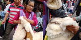 Peruana muestra sitio de venta de piel de cordero para combatir el frío en Lima y dato es viral en TikTok