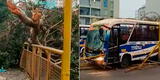 Jesús María: Bus de la línea 91 se despista e impacta contra paradero en la avenida Brasil