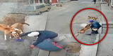 Tacna: Perros casi acaban con la vida de un anciano dejándolo tirado en el suelo