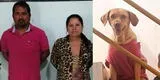 ¡Justicia para Maya! Inquilinos matan a perrita de la dueña para saquear vivienda en Chiclayo