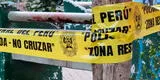 Terror en SJL: Sicarios asesinan a balazos a joven en parque infantil