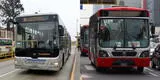 Feriado 30 de agosto: Horarios del Metropolitano, Corredores Complementarios y más, según ATU