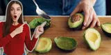 ¡El oro verde de la palta que desechamos! Descubre los beneficios de la cáscara para la salud