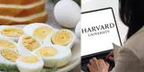 ¿Cuántos huevos puedo comer al día? Harvard aclara la duda sobre si hay posibles riesgos la salud