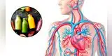 Las MEJORES bebidas para limpiar tus arterias y mejorar tu salud