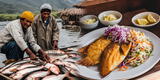 Este es uno de los PESCADOS peruanos más sanos, NUTRITIVOS y baratos con múltiples beneficios a tu salud