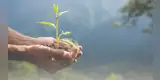 Día de la Educación Ambiental: cinco consejos para cuidar el planeta