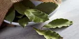 El sorprendente truco del laurel bajo la almohada que pocos conocen y que podría cambiar tu vida