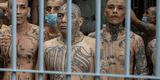 Inmigrante desaparecido: familia lo halla preso en El Salvador tras ver impactante reportaje