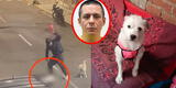 Hombre MATA A GOLPES a perrito en Trujillo solo por cruzarse en su camino: el video muestra el CRUEL ataque