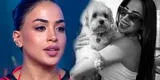 ¿Onelia Molina será DESPEDIDA de EEG? Influencer fue SANCIONADA por llevar a su MASCOTA al programa: "Vivo sola"