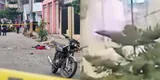 Sujeto muere al detonar explosivo en vivienda de Villa El Salvador: video inédito muestra sus últimos minutos con vida
