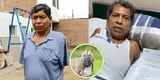 Peruano queda en coma y sin brazos tras ser atacado por 3 pitbulls: dueños no responden