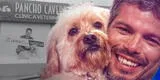 Pancho Cavero toma radical decisión y le PONE FIN a su cadena de clínicas veterinarias: "Ya no existen"