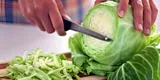 Cuáles son las propiedades nutricionales y medicinales de la col