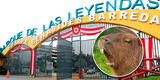 Parque de las Leyendas lanza entradas gratis para este domingo 22 de junio: Cómo acceder a la promo