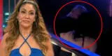 Tilsa Lozano expone ampay de Jackson Mora con anfitriona y le manda fuerte mensaje: “Te gustó la hue***”