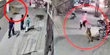 León que era tratado como mascota escapa de su casa y ataca a mujer junto a sus hijos