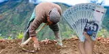 Consulta con tu DNI si accedes al subsidio de S/1.000 del Midagri en julio y revisa dónde cobrarlo