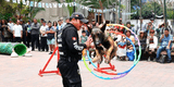 ESPECTACULAR show GRATUITO de la brigada CANINA de Miraflores por Fiestas Patrias: ¿Dónde y cuándo verlo?