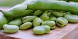 ¿Cuáles son las propiedades curativas de las habas? Científicos revelan sus beneficios