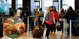 Multas de hasta $1000 en EE. UU. por llevar estos alimentos al aeropuerto sin declararlos