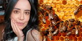 Tragedia en Colombia: Geóloga murió tras ser atacada por abejas; fue picada 200 veces en el rostro