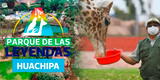 Parque de las Leyendas ofrece entradas gratis este 17 de agosto: Descubre cómo acceder a esta súper oferta