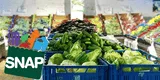 Fin de SNAP: suspenderán tarjeta alimentaria a quienes no cumplan este requisito clave