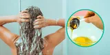 La sorprendente mascarilla casera que transforma tu cabello seco en una melena irresistible con ingredientes que tienes en la cocina