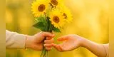 Día de las Flores Amarillas 2025: cuándo es y significado de este bonito regalo