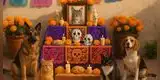 Día de Muertos para Mascotas: 70 frases BONITAS para dedicar a tu amigo que ya partió