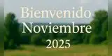 ¡Bienvenido noviembre! 50 frases bonitas para recibir el nuevo mes con energía e inspiración