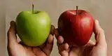 ¿Manzana roja o verde? Conoce cuál es mejor para tu salud, según expertos