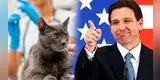 EXCELENTES NOTICIAS | Ron DeSantis FIRMA LEY que impactará en las mascotas de Florida: Entrará en vigor en el 2026