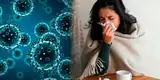 Gripe H3N2 bajo alerta: Minsa advierte qué grupos tienen mayor riesgo y cómo prevenir la infección