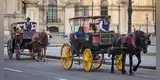 ¡NO VA MÁS! | Poder Judicial ordena el FIN de los paseos en carroza con caballos en la Plaza de Armas de Lima