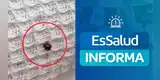 ¿Falta de higiene en EsSalud? El pronunciamiento oficial tras hallazgo de GARRAPATA en cama de hospital que indignó a los pacientes
